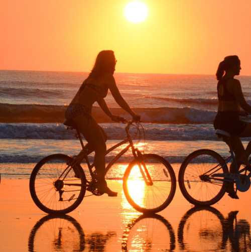 Bike Rentals & Scenic Rides