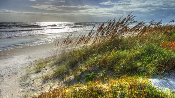 Grassy dunes and the shoreline