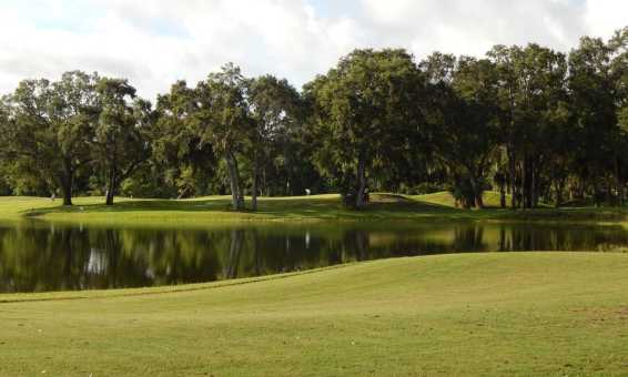 The Preserve at Turnbull Bay