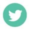Twitter Icon